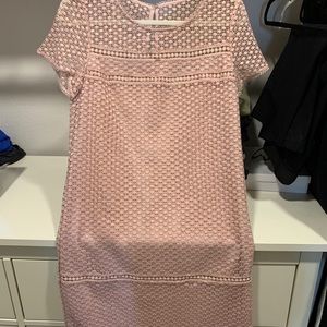Ann Taylor Mini Dress